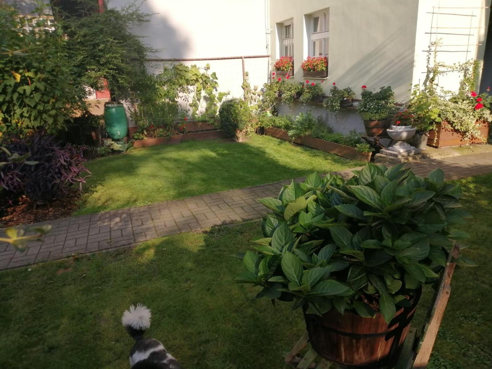 Apartman Deluxe Cheb Bagian luar foto