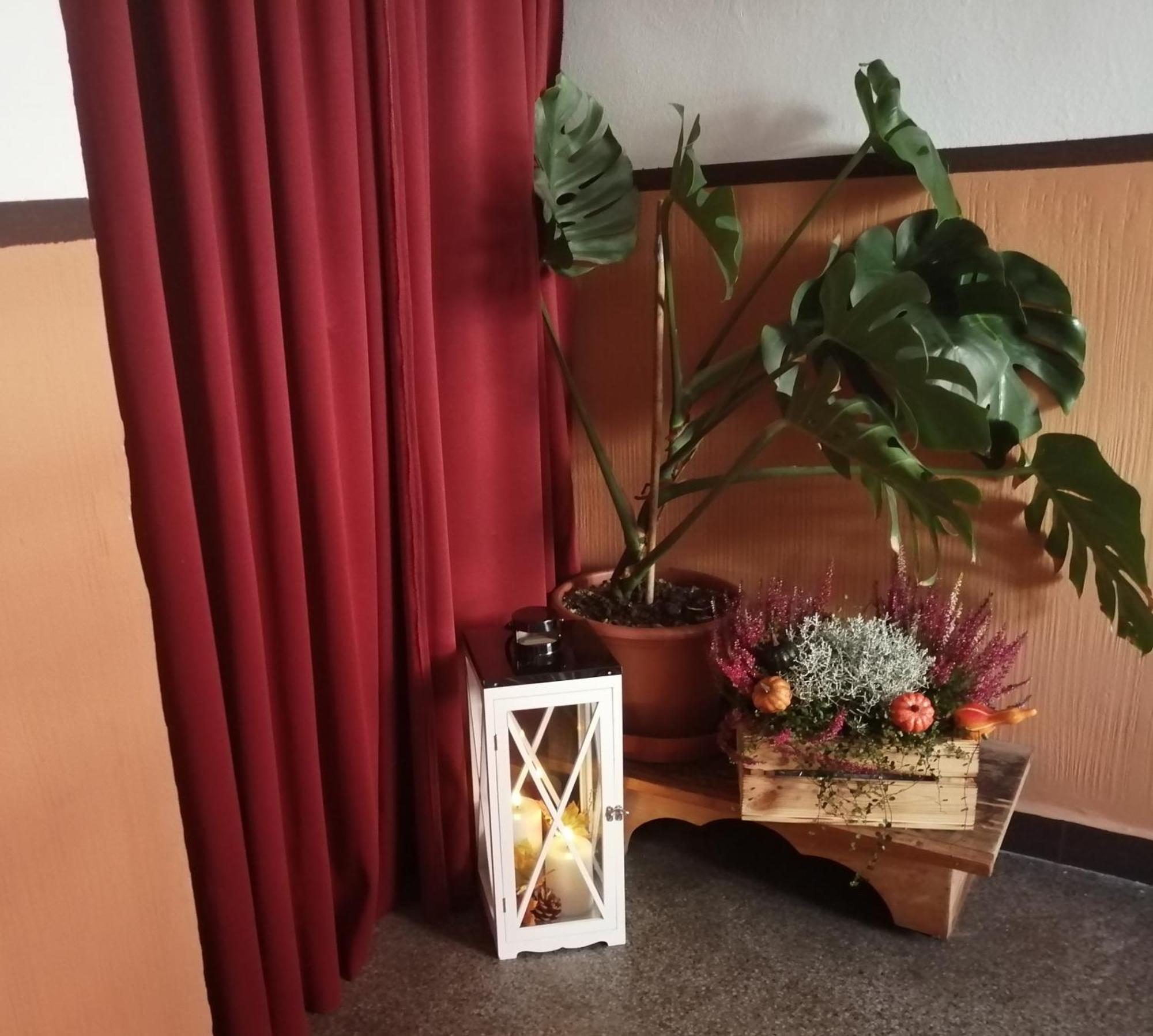 Apartman Deluxe Cheb Bagian luar foto